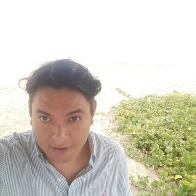 ingelectricmera's profile picture. rock and roll