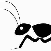 🐜 Antickl-Boston 🪶👣FETCON 2024 (@antickl) 's Twitter Profile