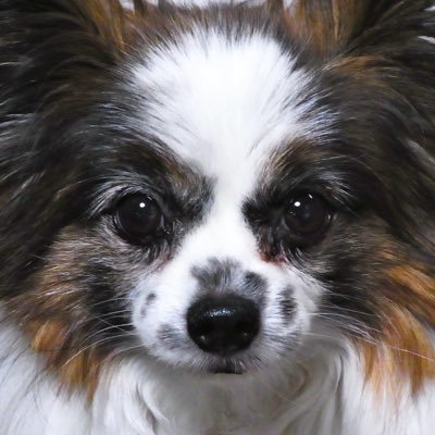 佐々木伸さんのプロフィール画像