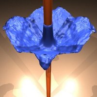 Sebastian Gomez (@sgomez_j) 's Twitter Profile Photo