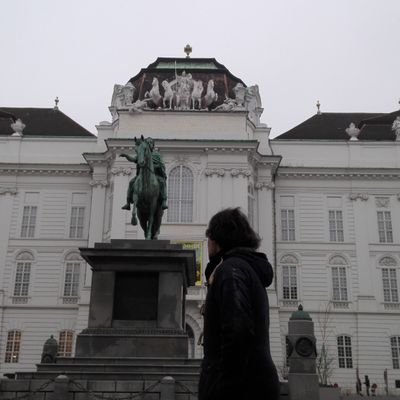 MiguelProl11's profile picture. 