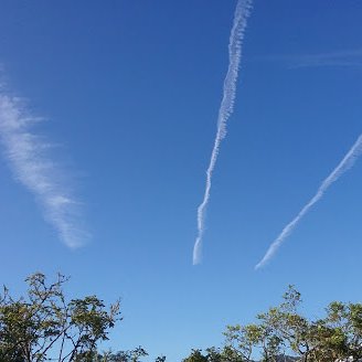 STOP AERIAL DRONE SPRAYING IN AUSTRALIA NOW! #NSWelection2019
#Australia #auspol

Journalists: please use any photos or footage, copyright free.
