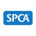 SPCA New Zealand (@rnzspca) Twitter profile photo SPCA New Zealand (@rnzspca) Twitter profile photo