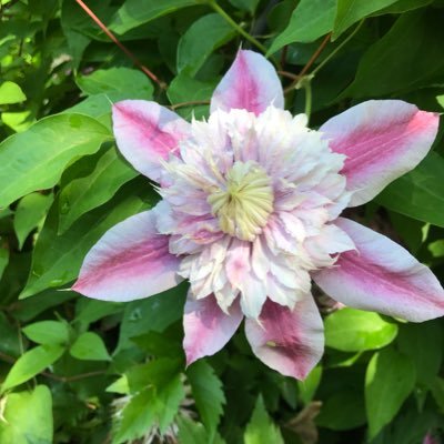 crumbley_pr's profile picture. Media and Public Relations