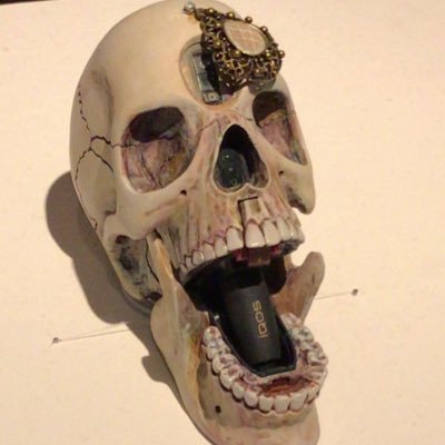 usagi_gekikara's profile picture. 人間の皮を被った性悪社畜ウサギ。［興味］猟奇事件・未解決事件&それを取り扱っているPodcast・YOUTUBE。 ［趣味］料理（主に肉）。最近はパン作りも。