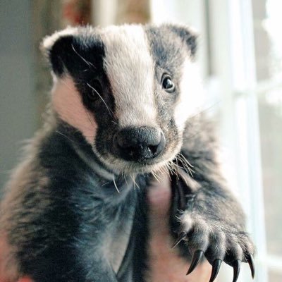 ste_worthington's profile picture. 