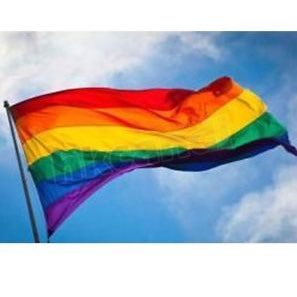 #FlyTheFlag 🏳️🌈@peelschools #makeamotionraisetheflag
