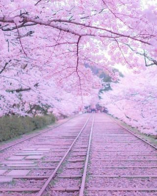 fatenurulain's profile picture. 행복은 수제붐이다