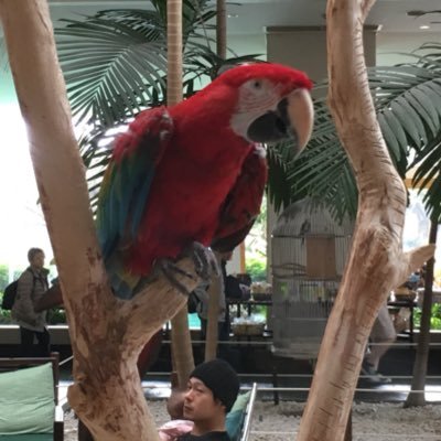 かけるさんのプロフィール画像