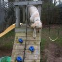 Kevin Beveridge - @kbeveridge1 - Twitter