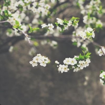 dotHashemi's profile picture. Minimal