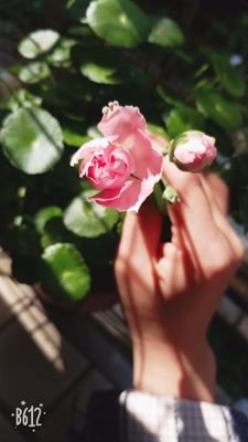 Chris0Lou's profile picture. Shenzhen leading perfection technology Co.,Ltd