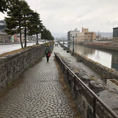 matsutakecohyg1's profile picture. 