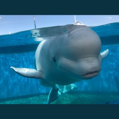 finepeace2012's profile picture. わちゃスマ大好き♪中居さんよりですが、５(６)スマが愛しくてたまらない今日この頃です。