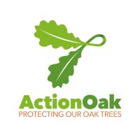 Action Oak(@ActionOak) 's Twitter Profileg