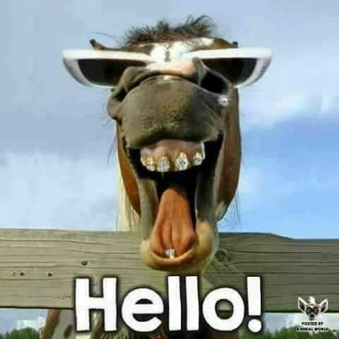 n_toad's profile picture. Super kwl dudette with a small heart