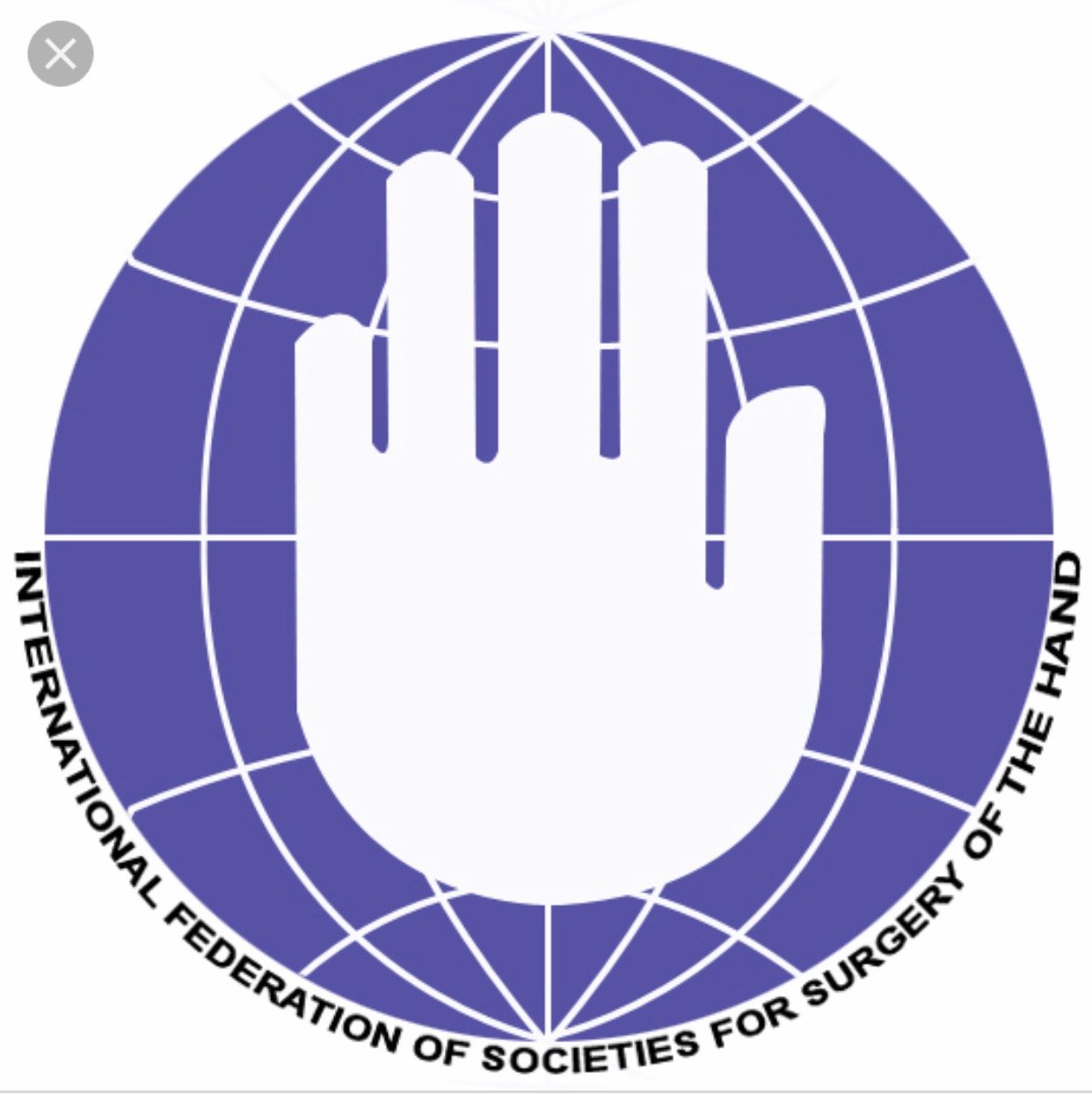 The International Federation of Societies for Surgery of the Hand