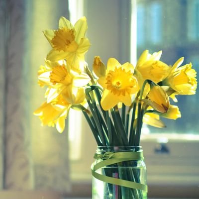 ksa_ksaA2030's profile picture. وطني الحبيب وهل احب سواه