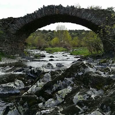 mendiset's profile picture. 