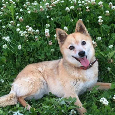 しげまろ 普通にかっこよくて金玉が踊りだした