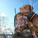 Zak Phillips - @Z_Phillips - Twitter