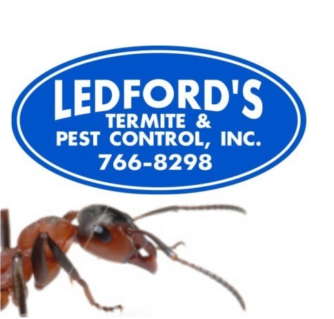 Pest Control Specialists serving Charleston and Columbia, SC for over 35 years. What's bugging you?
