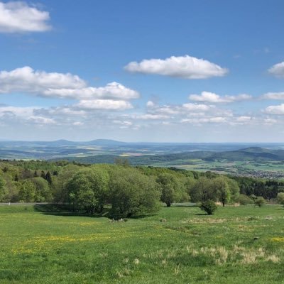 zunntt's profile picture. 