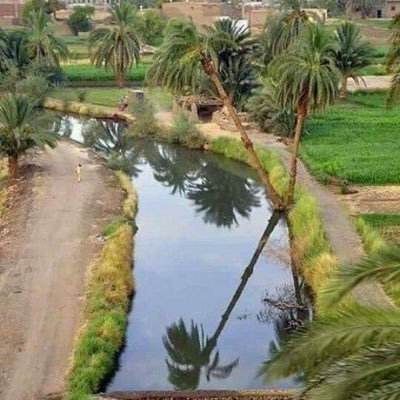 الأخبار العامة