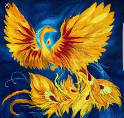 ShuvuuGalt's profile picture. Газрын жигүүр Галт шувуу шиг 
Гайхам мэдээллийг олонд хүргэе