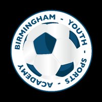 BYSA_FA (@bysa_fa) 's Twitter Profile