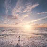 NaneUndDieBibel (@naneunddiebibel) Twitter profile photo