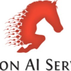 Stallion AI Services