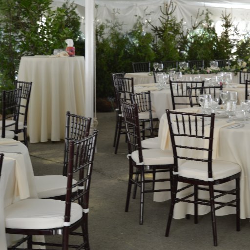 Linen & Event Decor throughout Mid Western Ontario Canada Grand Openings, Runway Events, Corporate & Weddings 519-482-5184