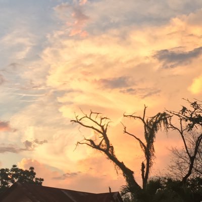 Toothless_22's profile picture. 