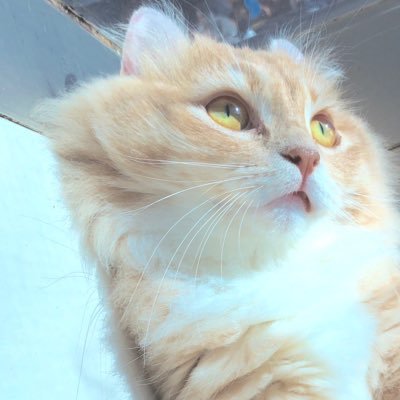 弥生さんのプロフィール画像