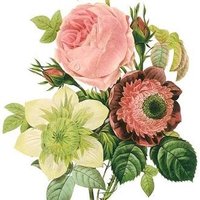 mica (@mica50254084) 's Twitter Profile Photo