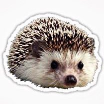 thethotgods's profile picture. meemees and thirst tweets