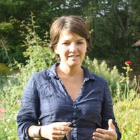 Caroline Lees (@carolinlees) 's Twitter Profile