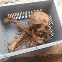 Bartolomeo Vanzetti 📯🪣 (@n_sacco_) Twitter profile photo