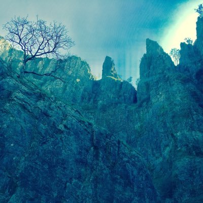 tidalwaves3's profile picture. Cleaner life clearer conscience. A shop for people who want a greener, zero waste, organic and environmentally friendly sustainable life.