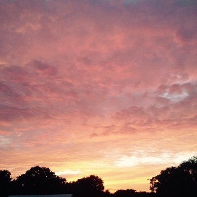 stxrryeyedlouis's profile picture. 