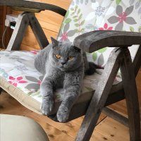 Catkins (@catkins55094308) 's Twitter Profile Photo Catkins (@catkins55094308) 's Twitter Profile Photo