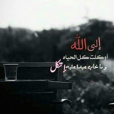 moy40960's profile picture. 