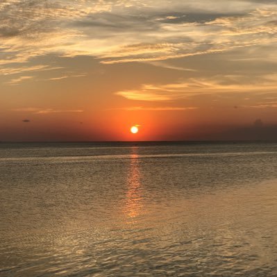 Cryptosac's profile picture. Entrepreneur