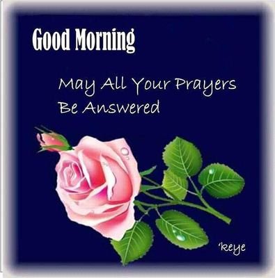 0633654ebe064c7's profile picture. love