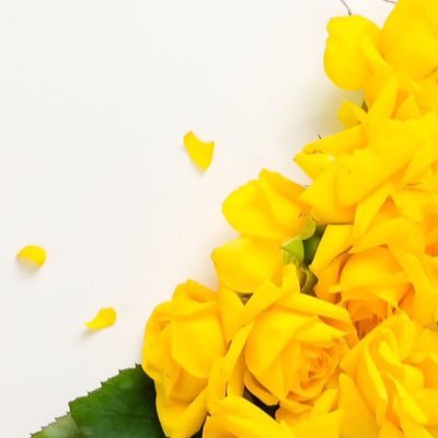 springsky03's profile picture. 春が終わる