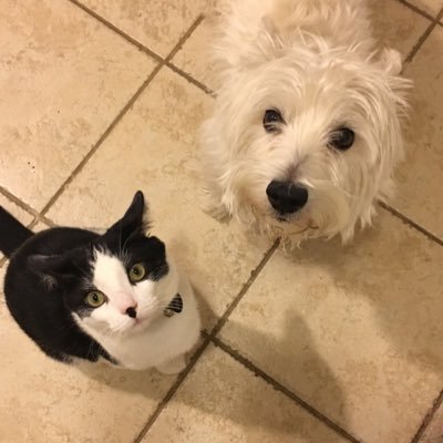 Edrodel's profile picture. Redskins fan who likes fishing, soccer, bowling, video games, and most of all, doing all that with my wife and daughter.