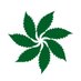 RxLeaf (@rxleafmd) Twitter profile photo RxLeaf (@rxleafmd) Twitter profile photo