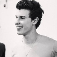 Shawn Mendes (@allshawnposts) 's Twitter Profile