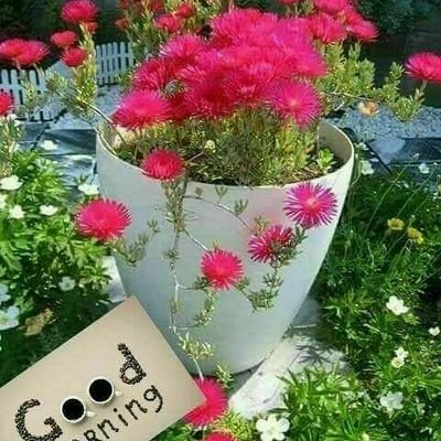 Sekaer2's profile picture. 